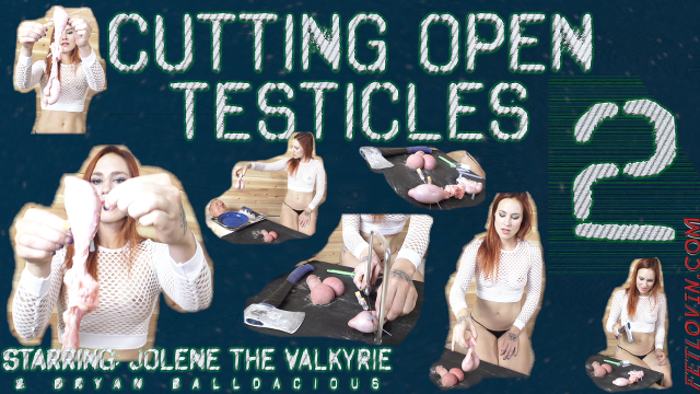 Cutting Open Testicles 2