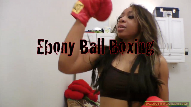 Ebony Ball Boxing