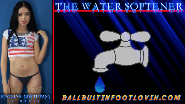 The Water Softener